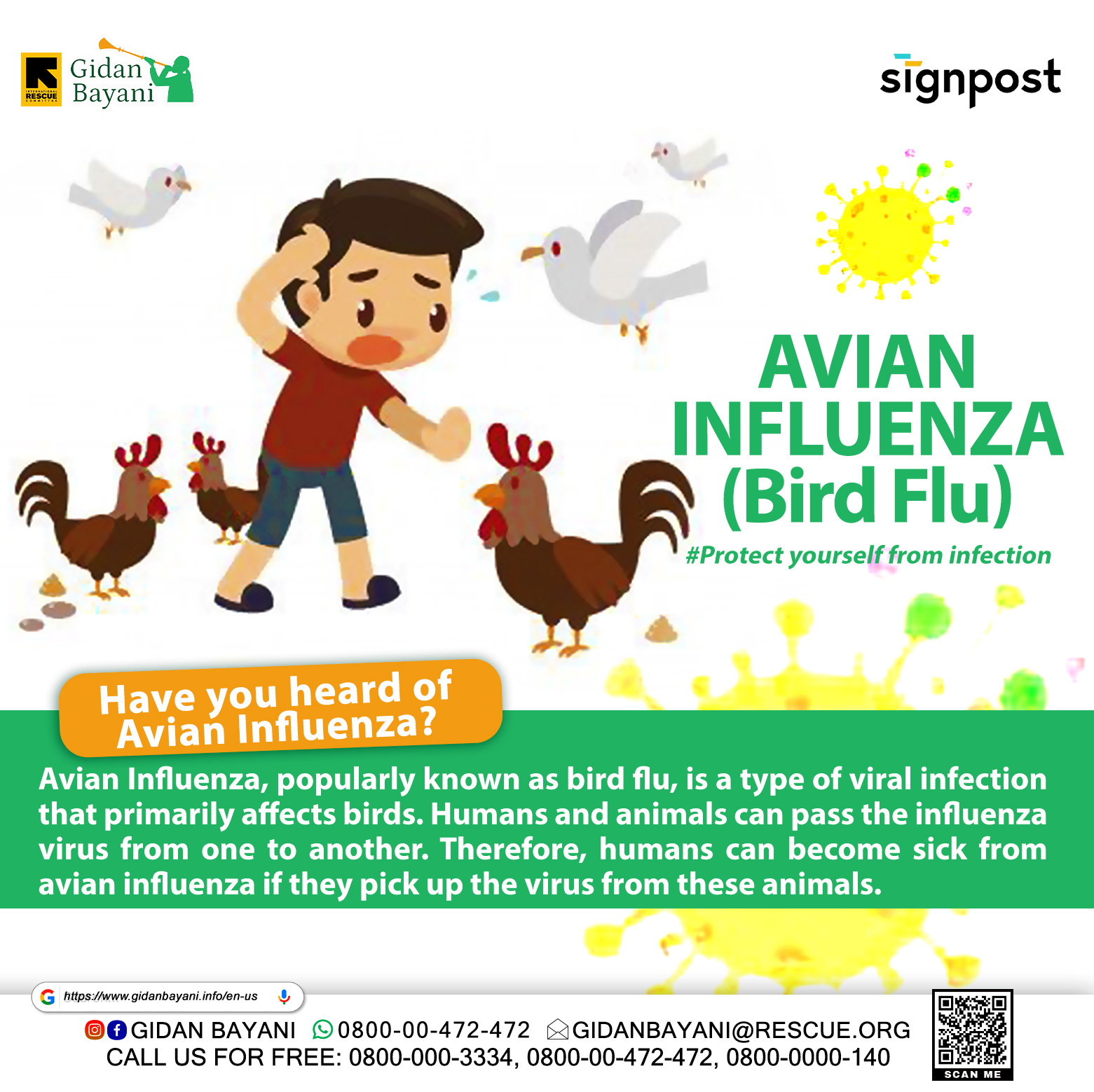 BIRD FLU.jpg